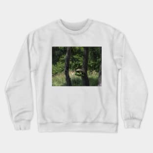 Bird feeder Crewneck Sweatshirt